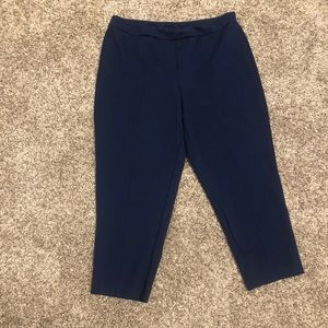 Joan Rivers Petite Signature Ankle Pants Front Seam Navy Sz LP